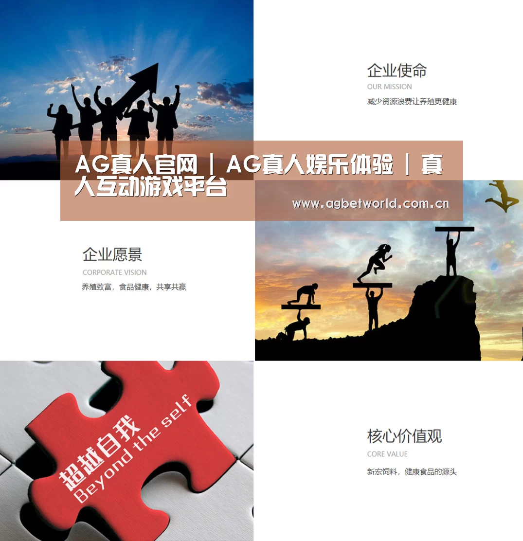 企业文化(图1)